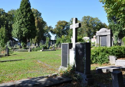 Teplice městský, Omnium, 2020