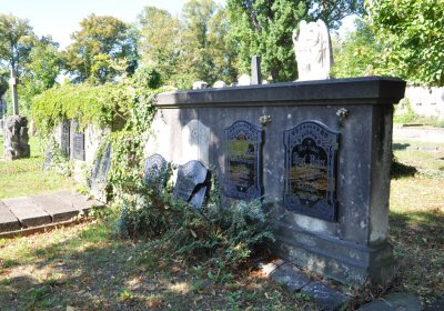 Teplice městský, Omnium, 2020