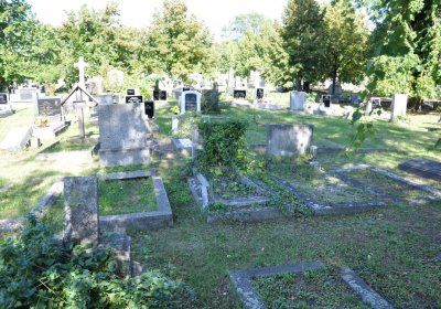 Teplice městský, Omnium, 2020