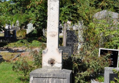 Teplice městský, Omnium, 2020