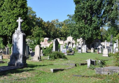 Teplice městský, Omnium, 2020