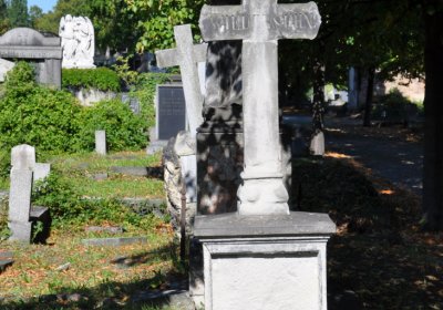 Teplice městský, Omnium, 2020