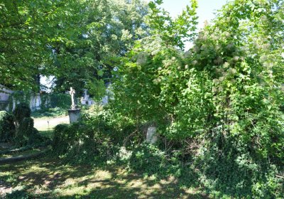 Teplice městský, Omnium, 2020