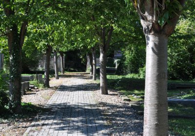 Teplice městský, Omnium, 2020