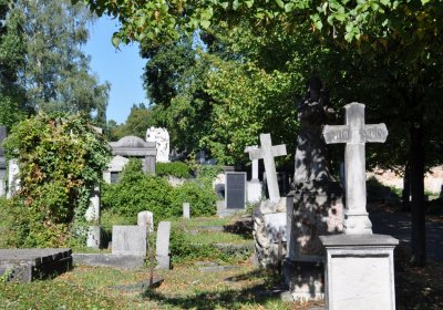 Teplice městský, Omnium, 2020