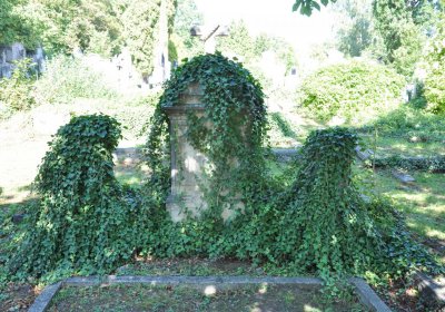 Teplice městský, Omnium, 2020