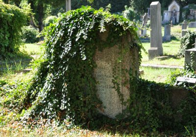 Teplice městský, Omnium, 2020