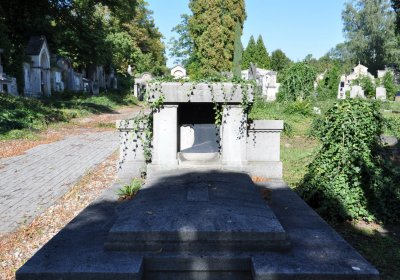 Teplice městský, Omnium, 2020