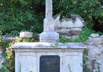 Teplice městský, Omnium, 2020