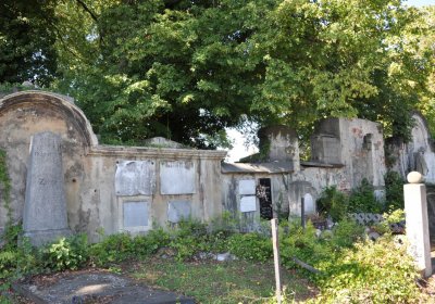 Teplice městský, Omnium, 2020