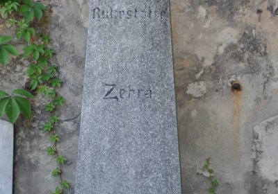 Teplice městský, Omnium, 2020