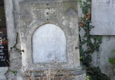 Teplice městský, Omnium, 2020