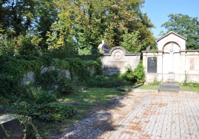 Teplice městský, Omnium, 2020