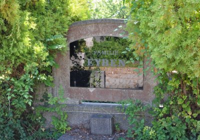 Teplice městský, Omnium, 2020