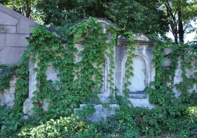 Teplice městský, Omnium, 2020