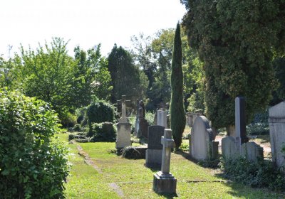 Teplice městský, Omnium, 2020