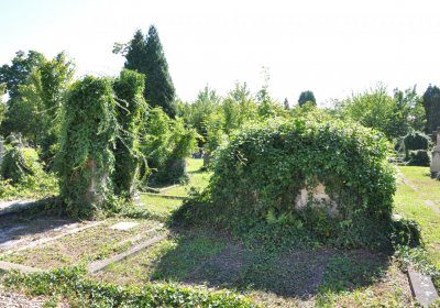 Teplice městský, Omnium, 2020