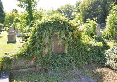 Teplice městský, Omnium, 2020