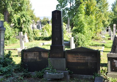 Teplice městský, Omnium, 2020