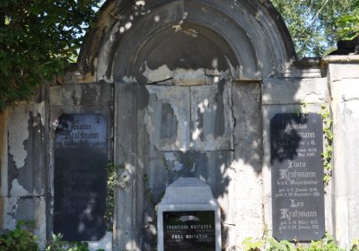 Teplice městský, Omnium, 2020