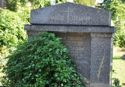 Teplice městský, Omnium, 2020