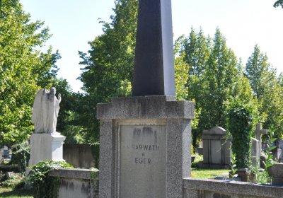 Teplice městský, Omnium, 2020