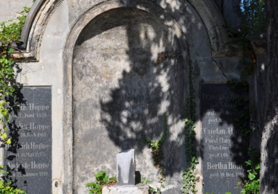 Teplice městský, Omnium, 2020