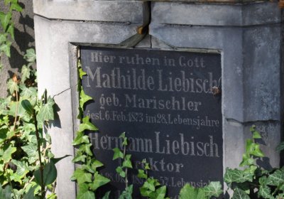 Teplice městský, Omnium, 2020