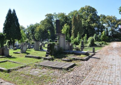 Teplice městský, Omnium, 2020