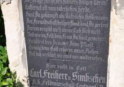 Teplice městský, Omnium, 2020