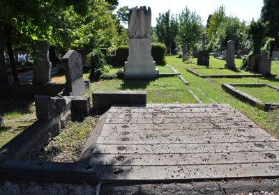 Teplice městský, Omnium, 2020