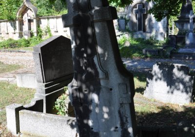 Teplice městský, Omnium, 2020