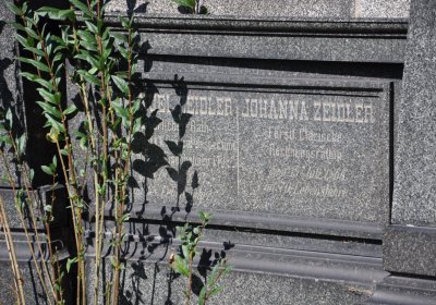 Teplice městský, Omnium, 2020