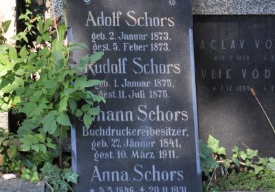 Teplice městský, Omnium, 2020