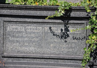 Teplice městský, Omnium, 2020