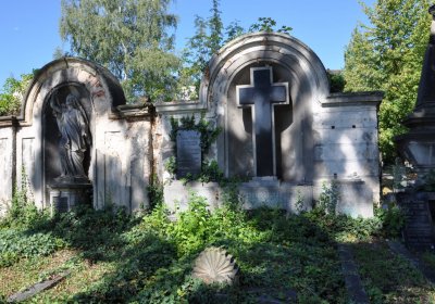 Teplice městský, Omnium, 2020