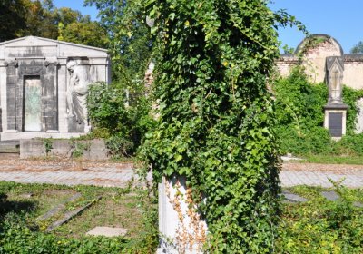 Teplice městský, Omnium, 2020