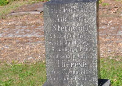 Teplice městský, Omnium, 2020