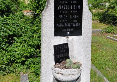 Teplice městský, Omnium, 2020