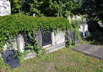 Teplice městský, Omnium, 2020