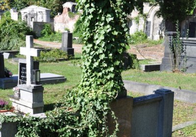 Teplice městský, Omnium, 2020