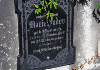 Teplice městský, Omnium, 2020