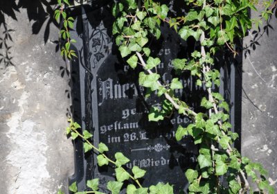 Teplice městský, Omnium, 2020