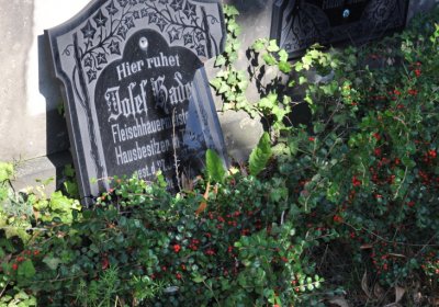 Teplice městský, Omnium, 2020