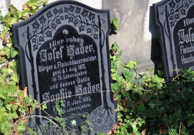 Teplice městský, Omnium, 2020