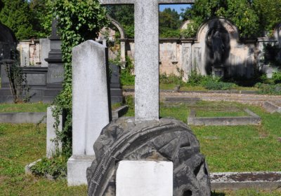 Teplice městský, Omnium, 2020