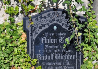 Teplice městský, Omnium, 2020