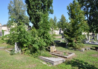 Teplice městský, Omnium, 2020