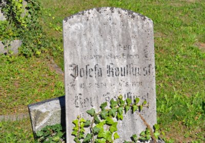 Teplice městský, Omnium, 2020