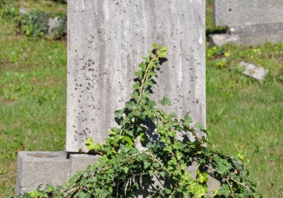 Teplice městský, Omnium, 2020